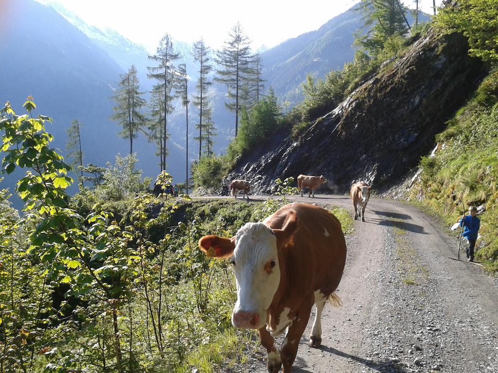 Feriendorf Ponyhof Fusch an der Grossglocknerstrasse 외부 사진