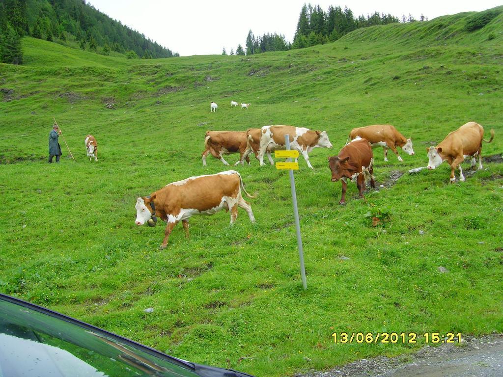 Feriendorf Ponyhof Fusch an der Grossglocknerstrasse 외부 사진