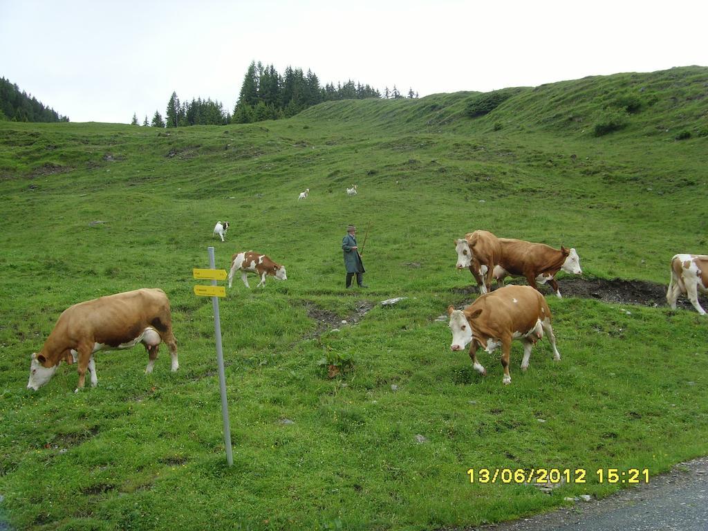 Feriendorf Ponyhof Fusch an der Grossglocknerstrasse 외부 사진